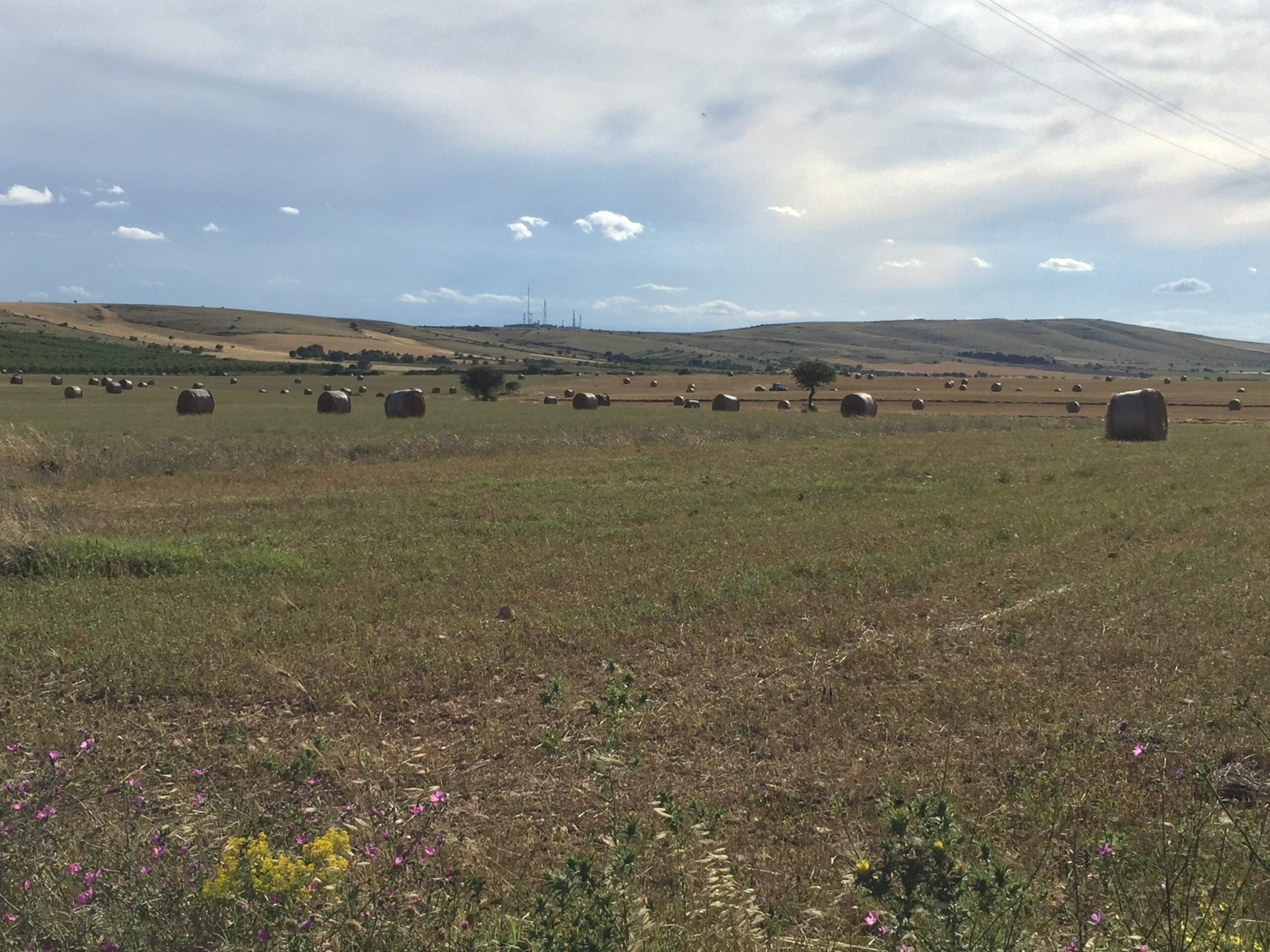 Santeramo da scoprire, un autunno di visite guidate, escursioni e iniziative culturali con la Pro Loco