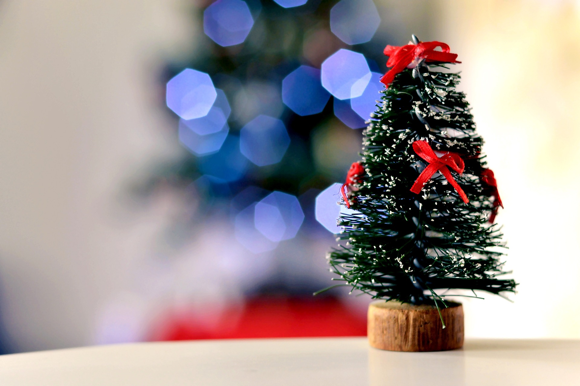 Natale 2026, approvato dalla giunta l’atto di indirizzo per gli eventi