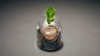 Financial decluttering: come ottimizzare conto corrente, portafoglio e la mente nel 2026